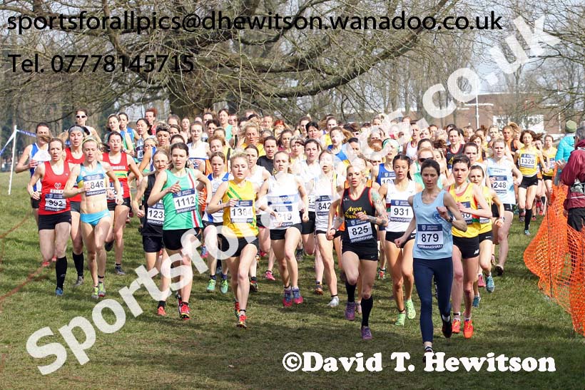 Senior womens 2016 Inter Counties Cross Country Champs. and Cross Challenge Final, Cofton Park, Birmingham. Photo: David T. Hewitson/Sports for All Pics
